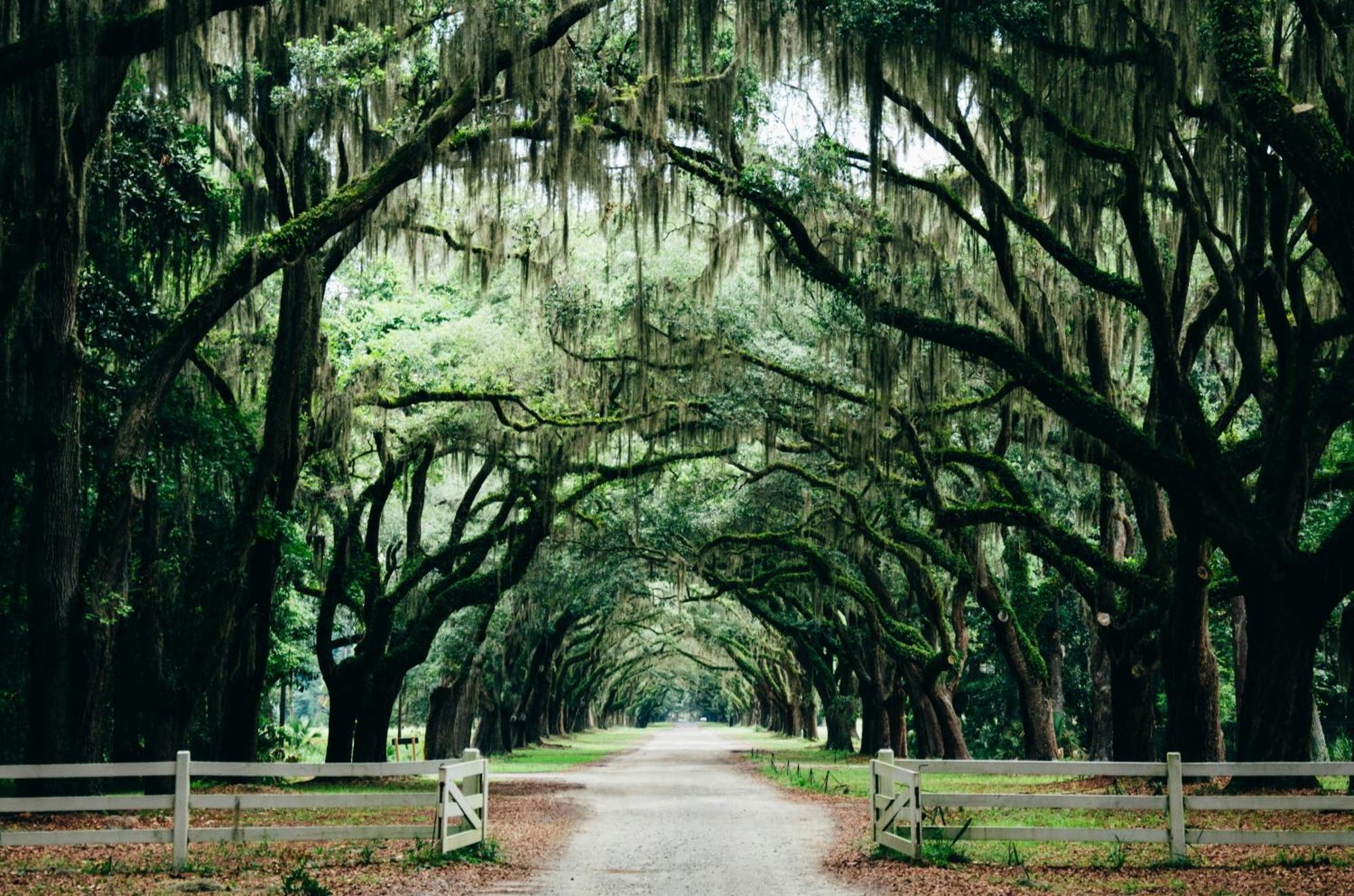 Kimpton Brice Hotel By Ihg Savannah Buitenkant foto